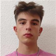 Profesor particular de historia, geografía y demás ciencias sociales en Madrid, estudiante universitario con años de experiencia en la docencia